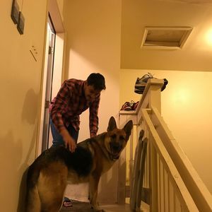 Meet your Posher, Naeem